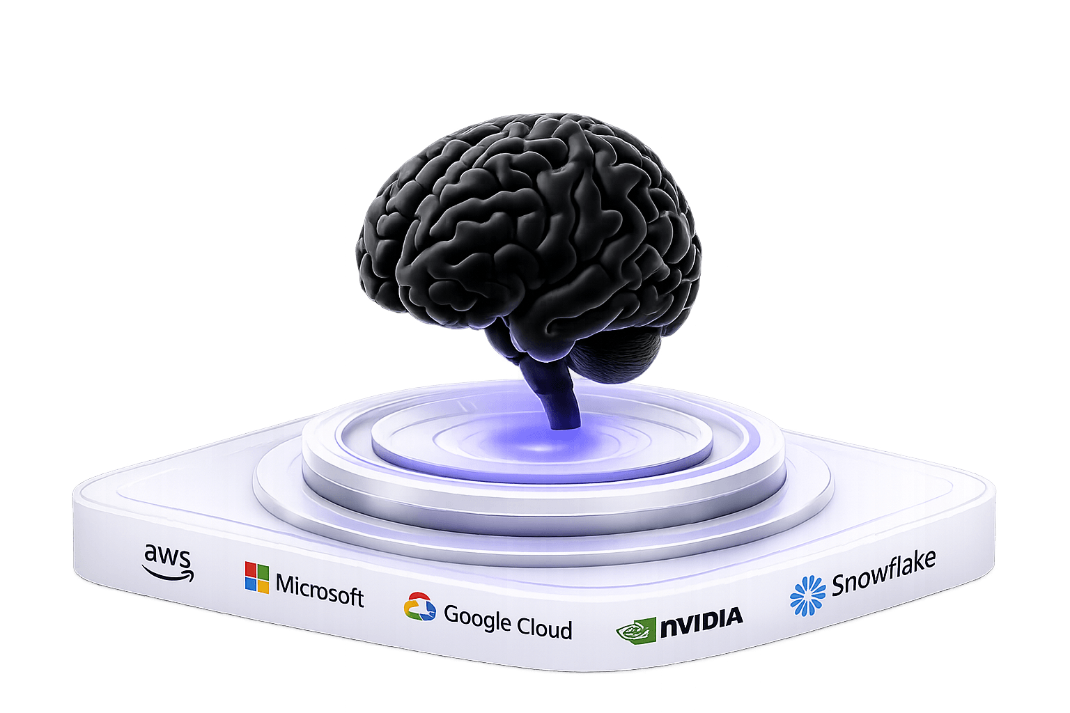 Policy, infrastructure and model control inside the customer perimeter